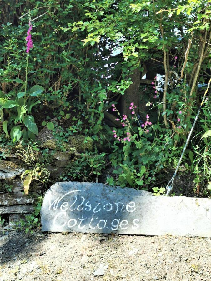 Wellstone Cottages - Coach House Llanfyrnach Eksteriør billede